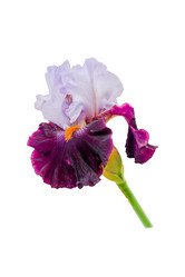 Similar image 21000577