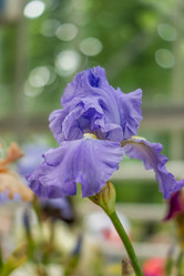 Similar image 21000580