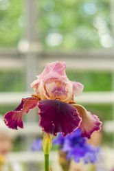 Similar image 21000581