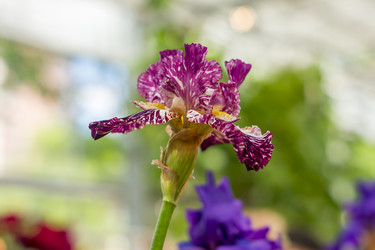 Similar image 21000748