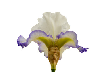 Similar image 21000749