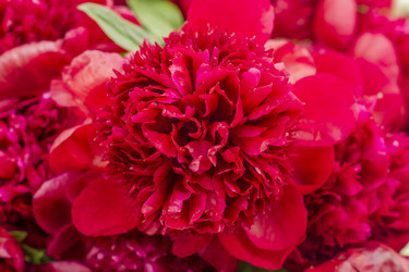 Similar image 21000751