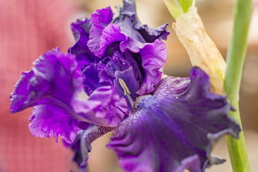 Similar image 21000753