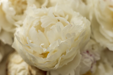 Similar image 21012336