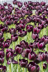 Similar image 21012341