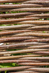 Similar image 21012342