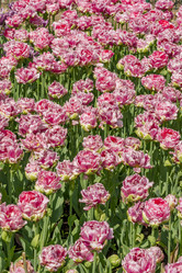 Similar image 21012343