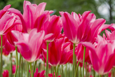 Similar image 21012346