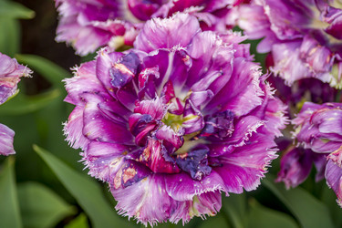 Similar image 21012347