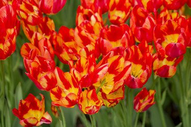 Similar image 21012348