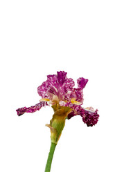 Similar image 21012352