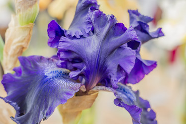 Similar image 20993982