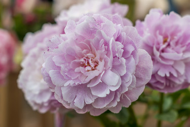 Similar image 20993983