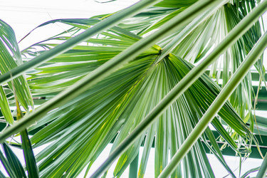 Similar image 20993985