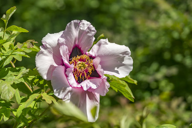 Similar image 20993986