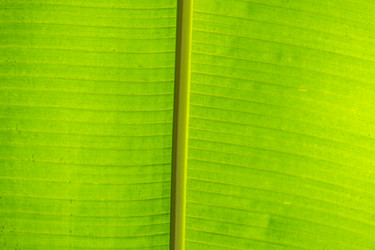 Similar image 20994154