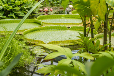 Similar image 20994159