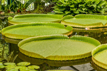 Similar image 20994161