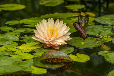 Similar image 20994163