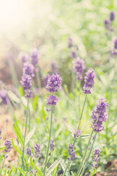 Similar image 20994168