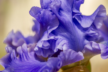 Similar image 20994172