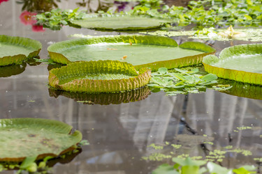 Similar image 20994175