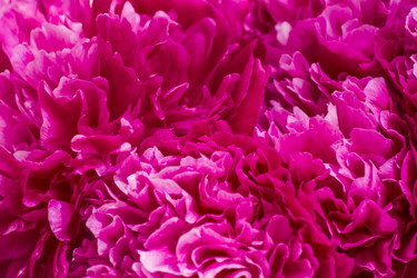 Similar image 20994176