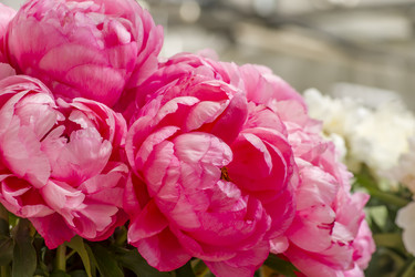 Similar image 20994178