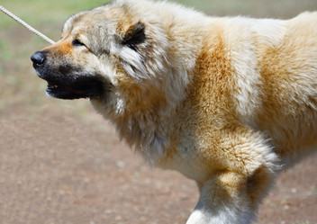 Similar image 21000584