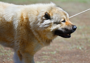 Similar image 21000587