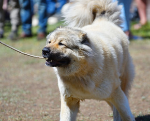 Similar image 21000590