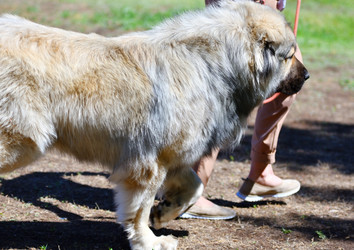 Similar image 21000591