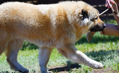 Similar image 21000592