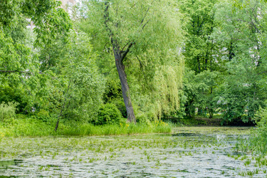 Similar image 20994001