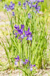 Similar image 20994002