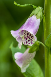 Similar image 20994003