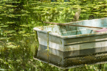 Similar image 20994007