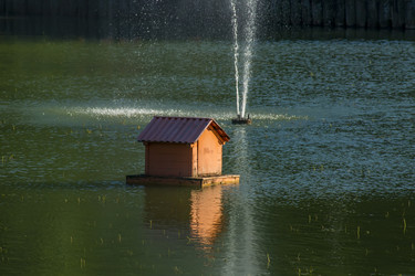 Similar image 20994014