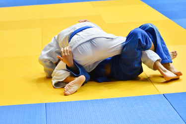 Similar image 21000603