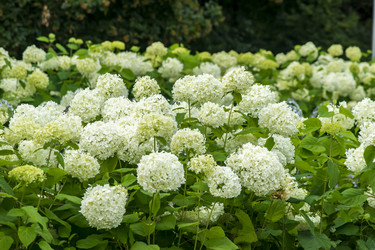 Similar image 21000629