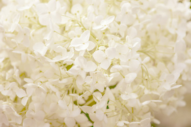 Similar image 21000630