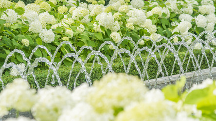 Similar image 21000631