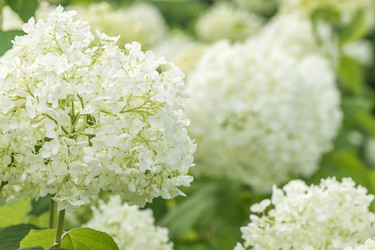 Similar image 21000632