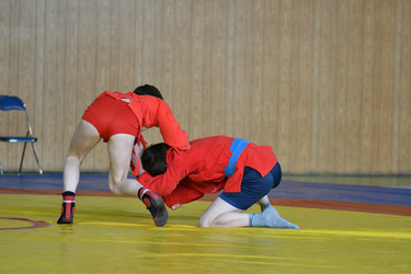 Similar image 21000294