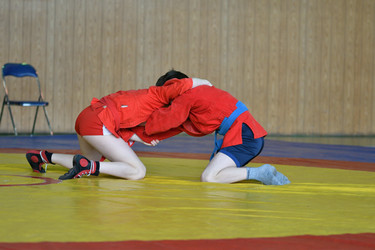 Similar image 21000295