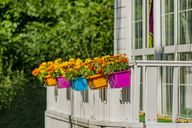 Similar image 20994035