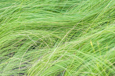 Similar image 20994040