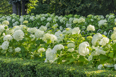 Similar image 20994041