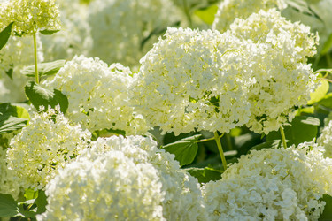 Similar image 20994183