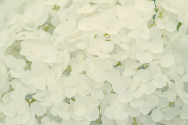 Similar image 20994184